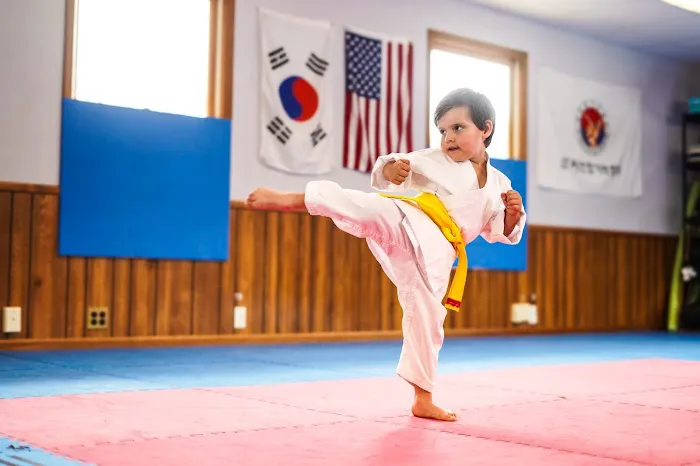 Blue Ridge Taekwondo of East Asheville Picture 9