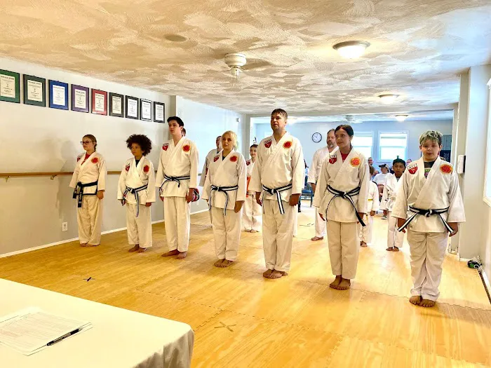 Asheville Academy of Taekwondo Picture 2