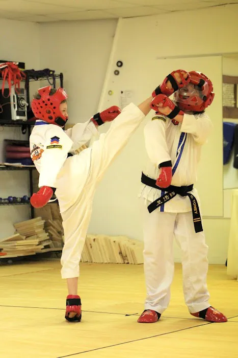 Asheville Academy of Taekwondo Picture 4