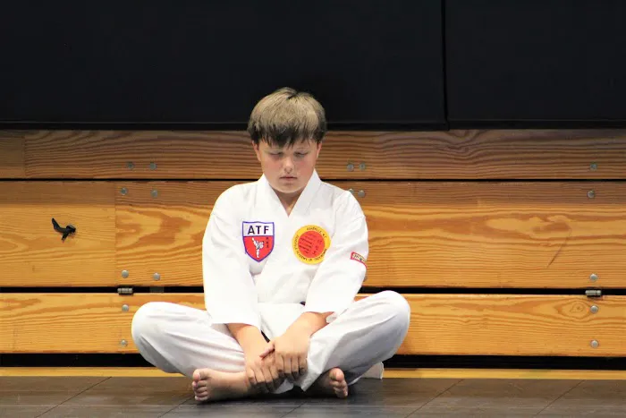 Asheville Academy of Taekwondo Picture 6