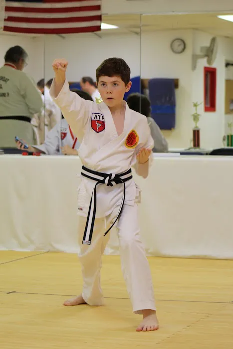 Asheville Academy of Taekwondo Picture 8