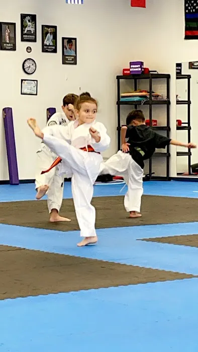 JTF Taekwondo School Picture 8