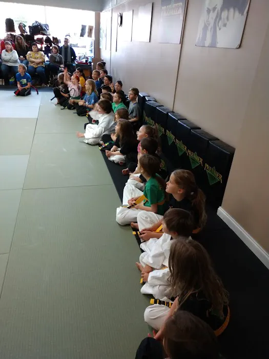 Premier Martial Arts Asheville, NC Picture 2