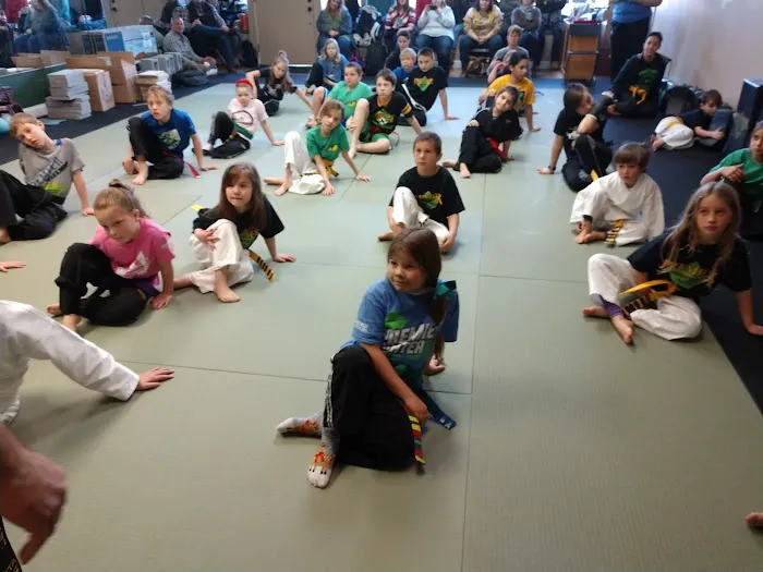 Premier Martial Arts Asheville, NC Picture 3