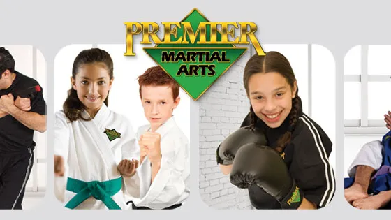 Premier Martial Arts Asheville, NC Picture 6