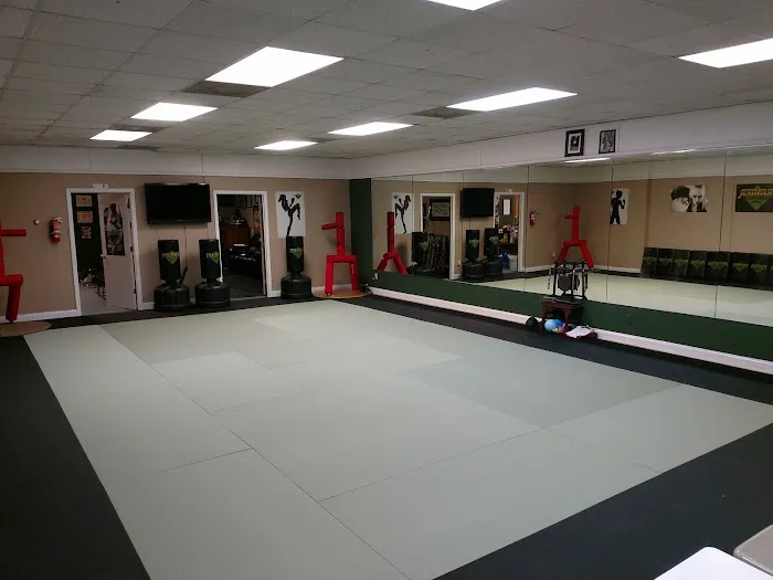 Premier Martial Arts Asheville, NC Picture 4