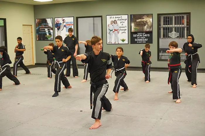 Premier Martial Arts Asheville, NC Picture 7