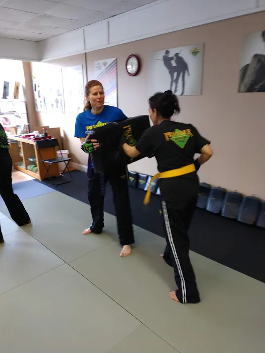 Premier Martial Arts Asheville, NC Picture 8