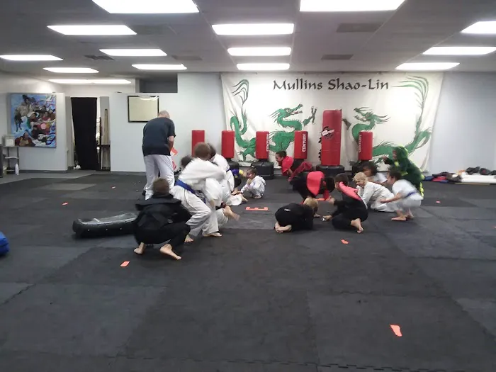 Mullins Shaolin Kung-Fu Picture 1