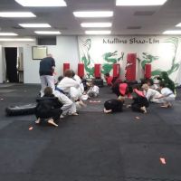 Mullins Shaolin Kung-Fu ico