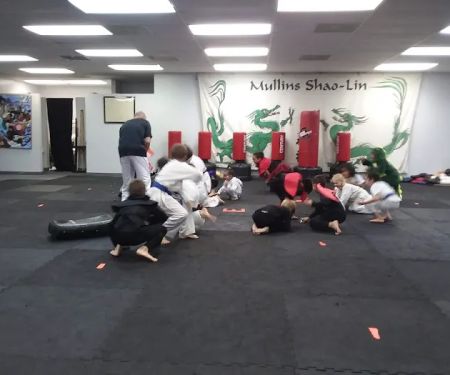 Mullins Shaolin Kung-Fu