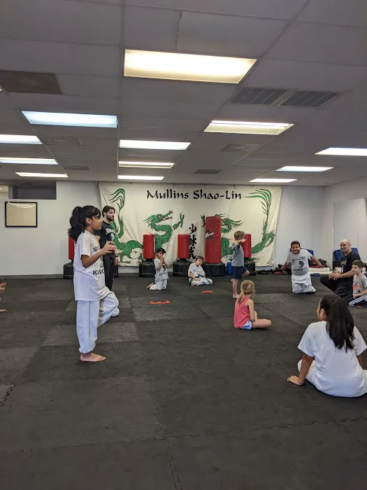 Mullins Shaolin Kung-Fu Picture 3