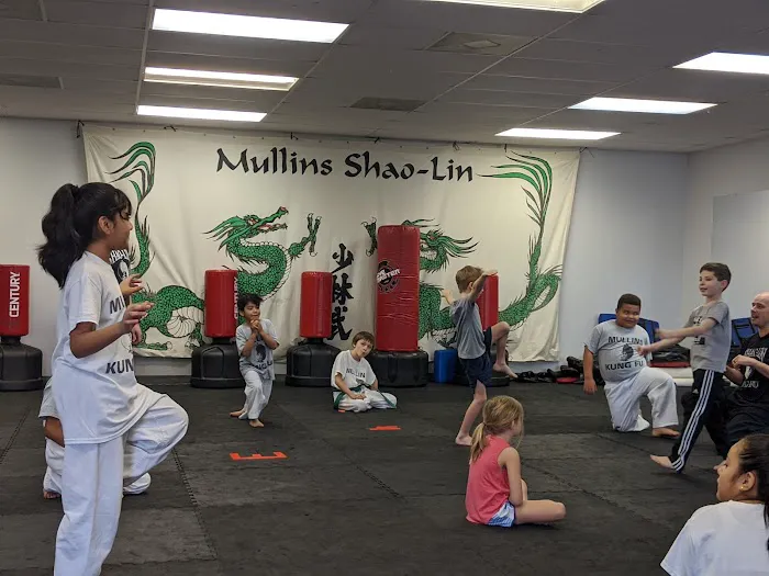 Mullins Shaolin Kung-Fu Picture 4