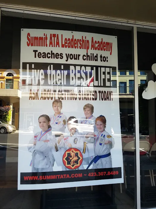 Summit ATA Martial Arts Picture 1