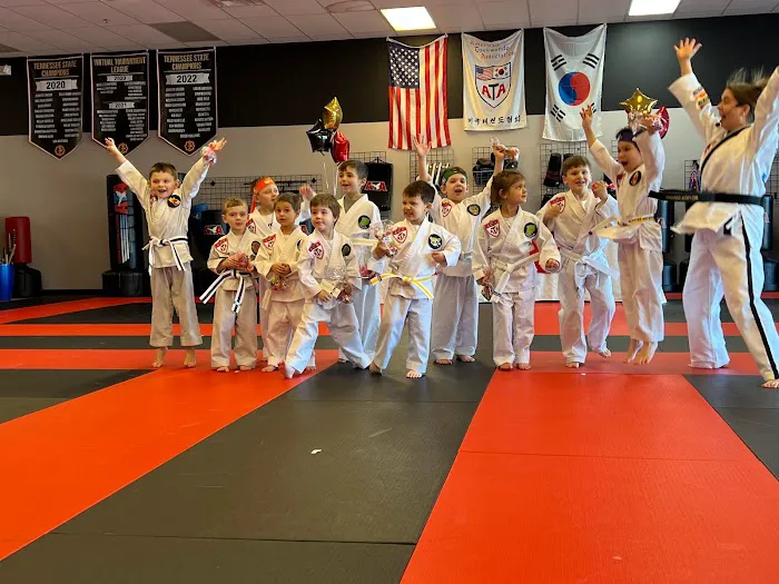 Summit ATA Martial Arts Picture 8