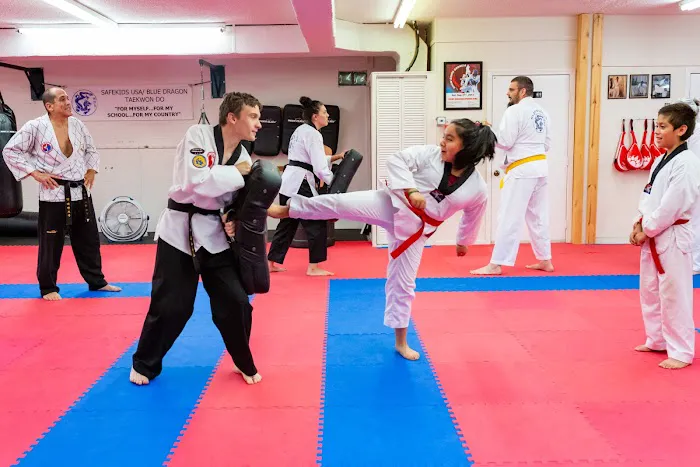 SafeKids USA/Blue Dragon Taekwondo School Picture 2