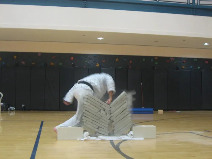 SafeKids USA/Blue Dragon Taekwondo School Picture 9