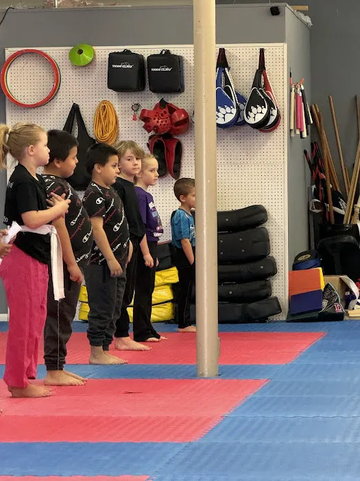 Fakhoury Academy Of Taekwondo Picture 1