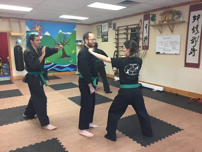 Budo Mountain Family Martial Arts Picture 2