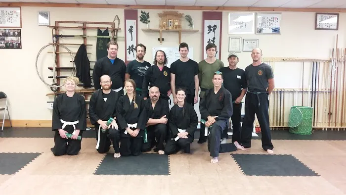 Budo Mountain Family Martial Arts Picture 1