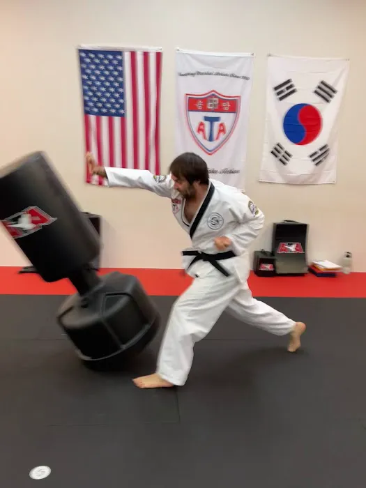 Transylvania Tae Kwon Do Picture 3