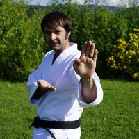 Transylvania Tae Kwon Do ico