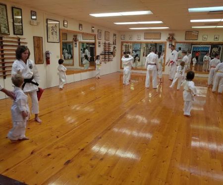 Karate Shorin