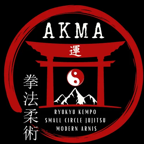 Alliance Kinetics Martial Arts Picture 7