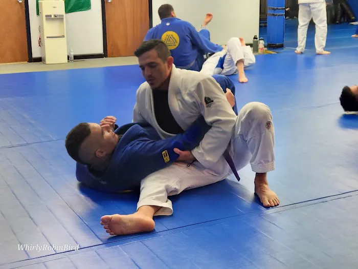 Basulto Academy of Defense Picture 6