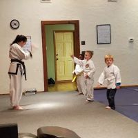 Serio Self Defense ico