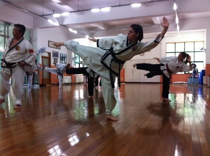 Serio Self Defense Picture 8