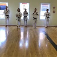Mountain Karate ico