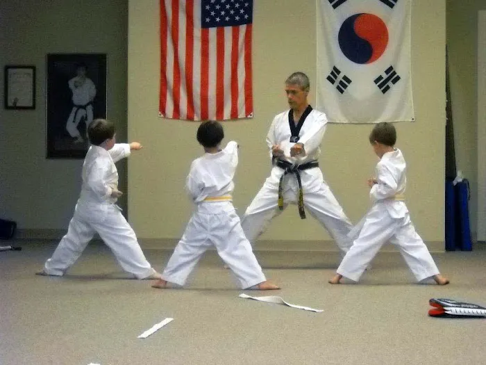 Hong's Tae Kwon Do Picture 6