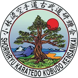 Aoyama Dojo Okinawan Shorin-Ryu Karate do Kobudo Picture 4
