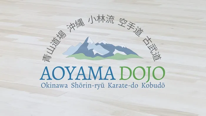 Aoyama Dojo Okinawan Shorin-Ryu Karate do Kobudo Picture 5