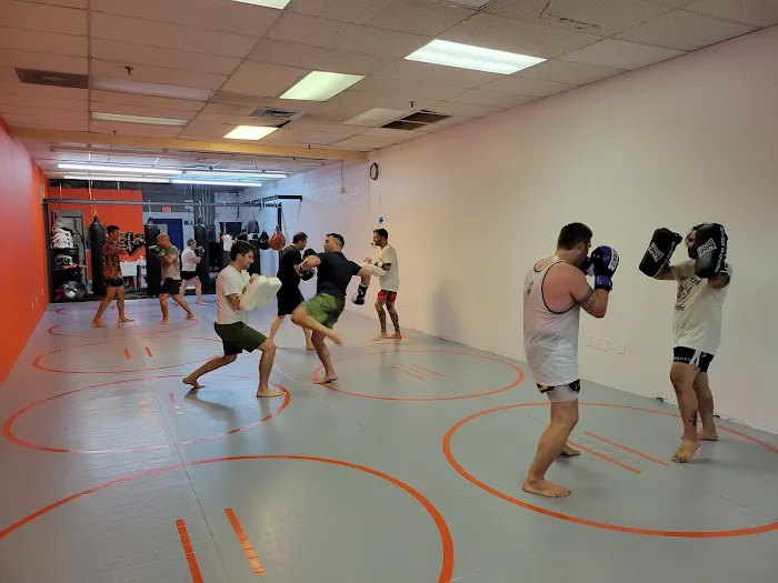 Temple Muay Thai Picture 2