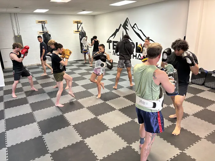 Temple Muay Thai Picture 4