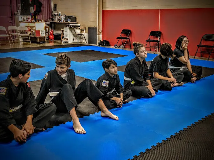 Karakido Combat Karate Picture 7