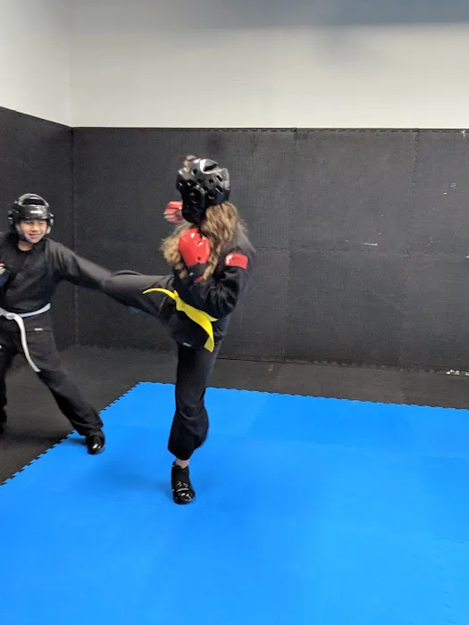 Karakido Combat Karate Picture 5
