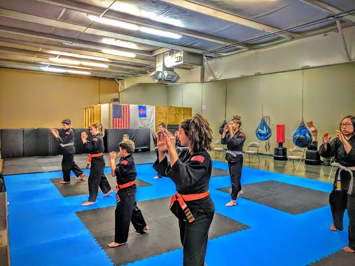 Karakido Combat Karate Picture 9