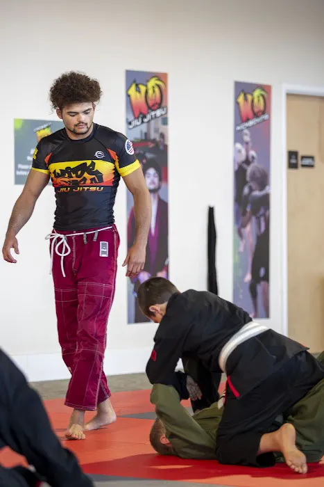 Wide Open Jiu Jitsu Picture 4