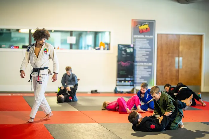 Wide Open Jiu Jitsu Picture 2