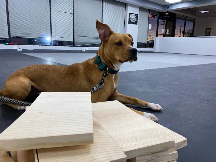 Empowered Martial Arts Picture 8