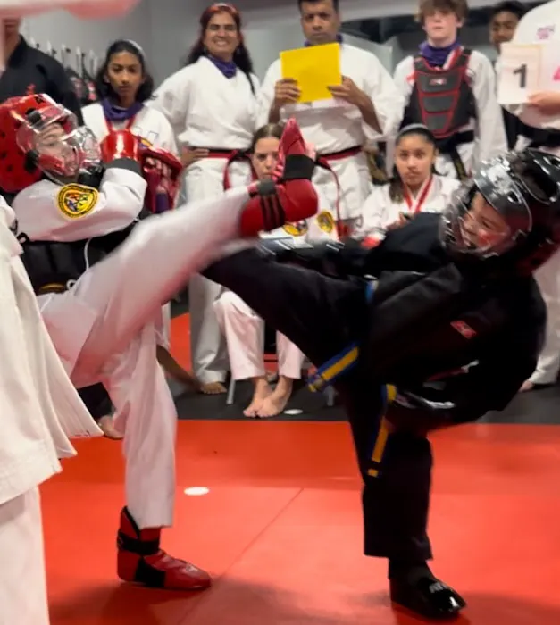 Black Belt Attitude School (Pelham) Picture 3