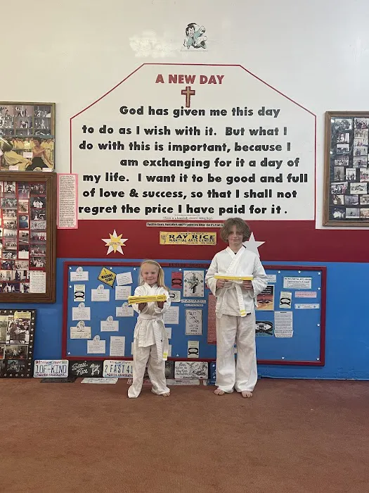 Ray Rice Martial Arts Center Picture 4