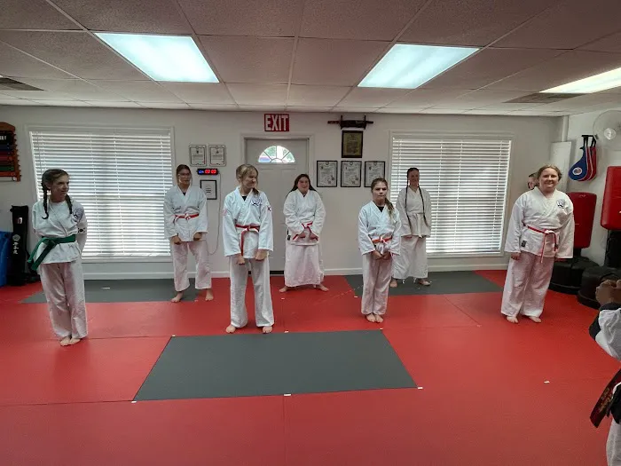 Rodriguez Karate Academy Picture 5