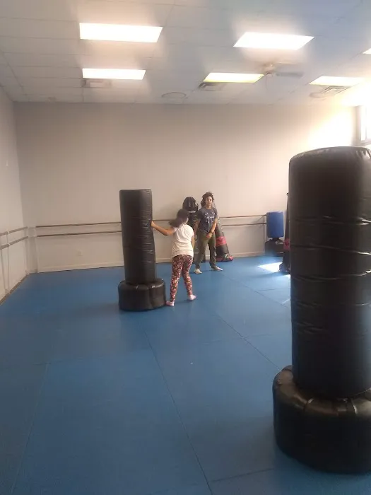 Greenville Academy of Martial Arts Picture 5