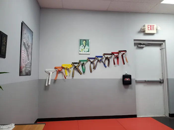 Black Belt Attitude School (Five Forks) Picture 4