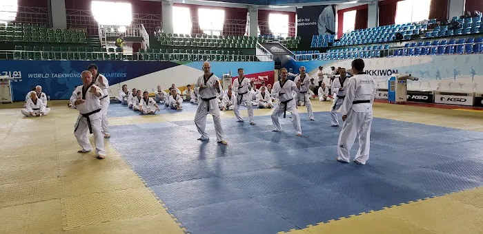 Huggins Tae Kwon Do Academy Picture 5