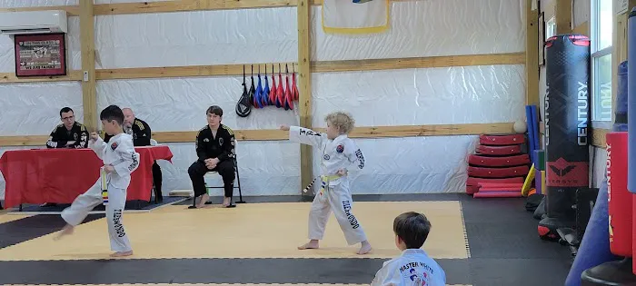 Master White Taekwondo Picture 4